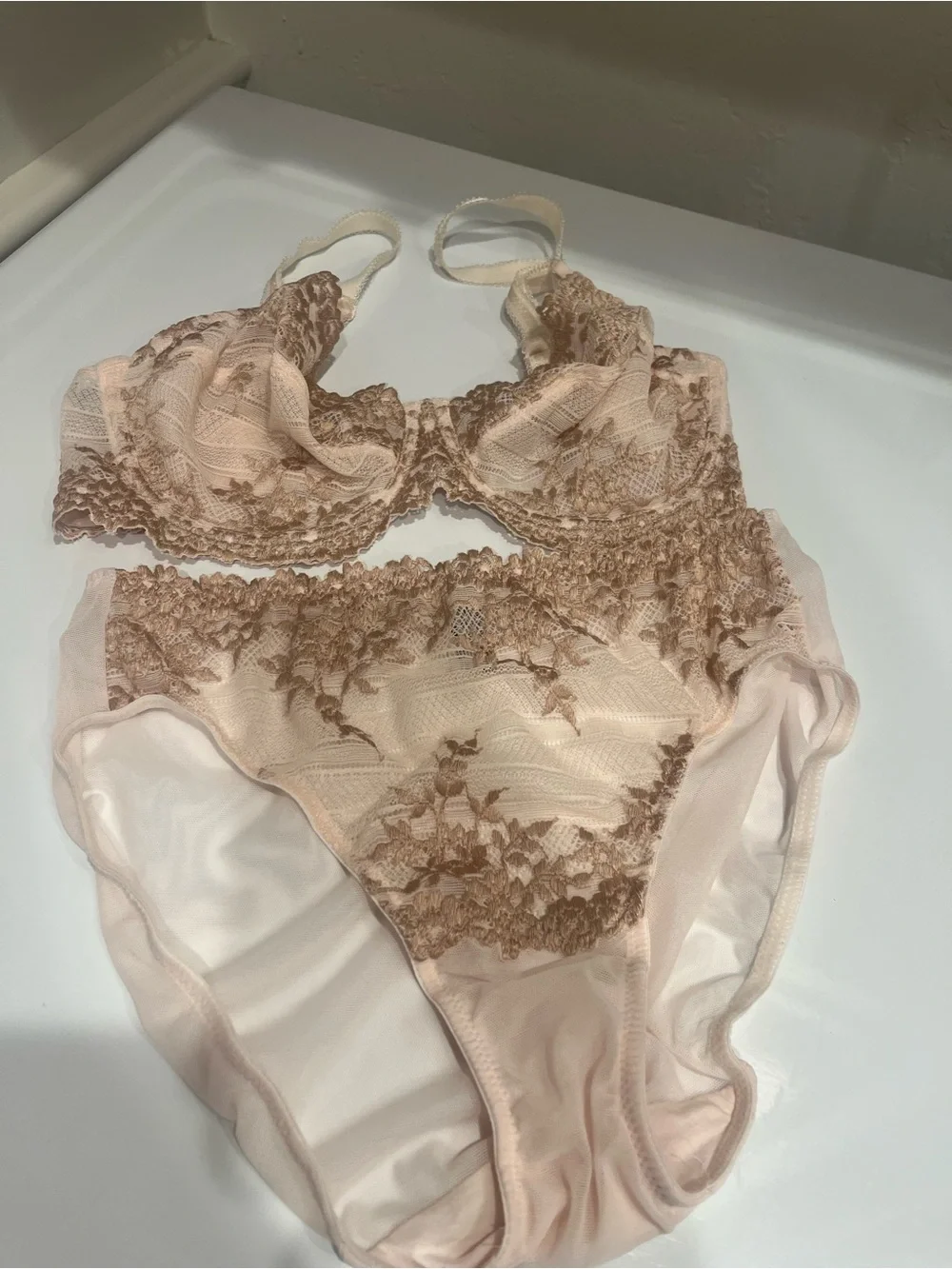 Wacoal Lace Underwire Bra and Matching Briefs in Light Blush bra 34 D panties S